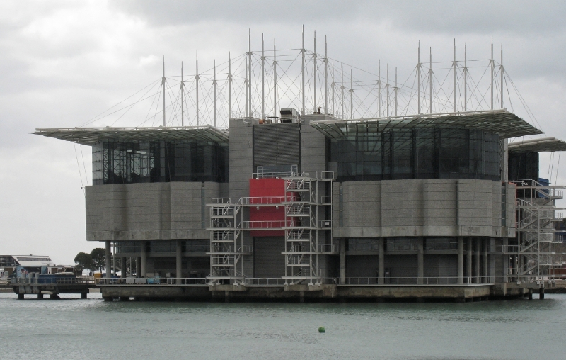 Oceanarium, Lisbon Portugal.jpg